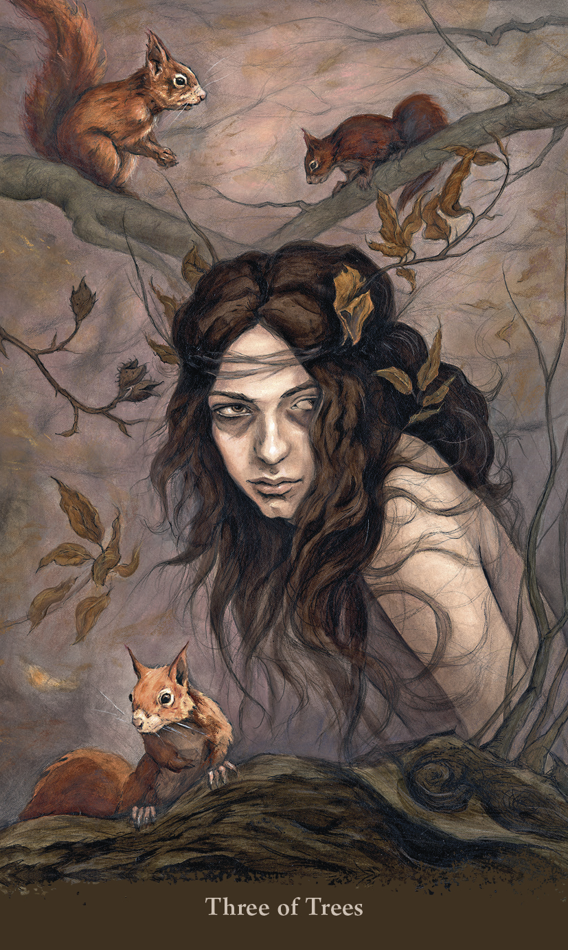 Witch Sister Tarot Cards